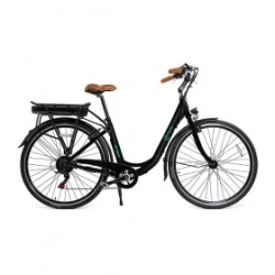 Bicicleta eléctrico YOUIN BK2026B